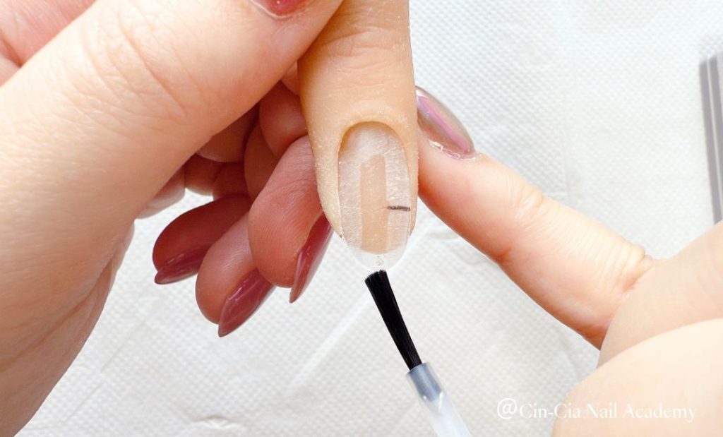 プライマーを塗布